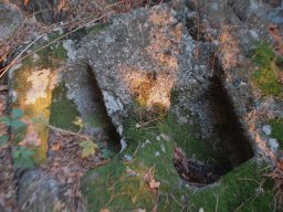 DSC_9421-1