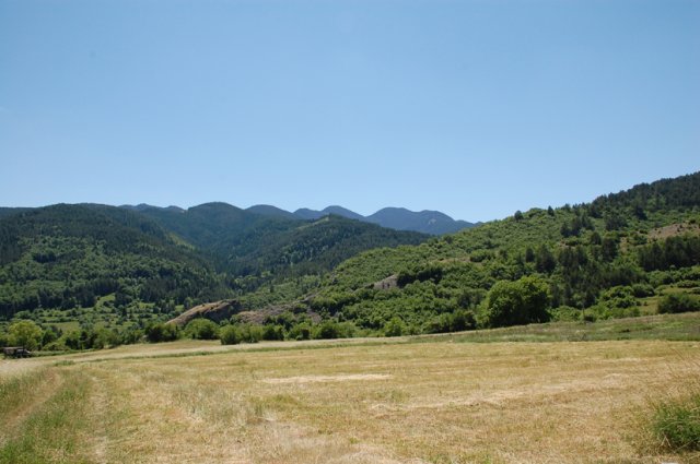 DSC_2162-1