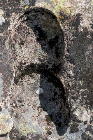DSC_4724-1