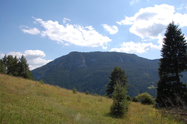 DSC_7879-1