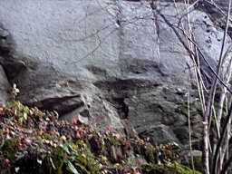 DSC05585_1~0
