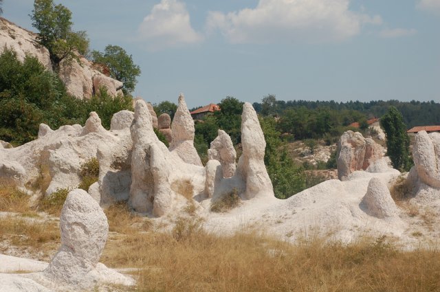 DSC_1300-1