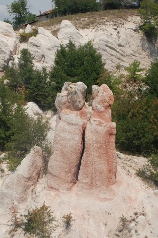 DSC_1317-1