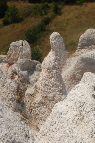 DSC_1495-1