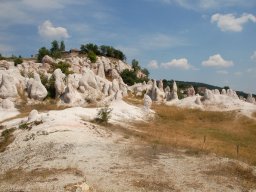 DSC_1298-1