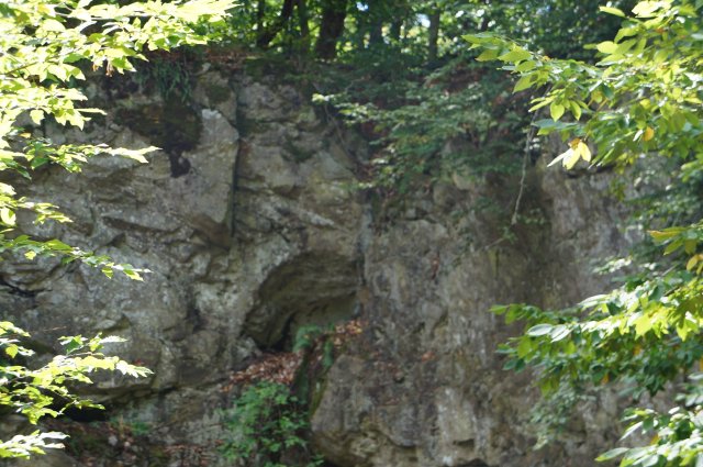 DSC09908