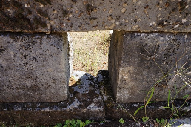 DSC09920
