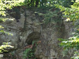 DSC09908