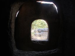DSC_2555-1
