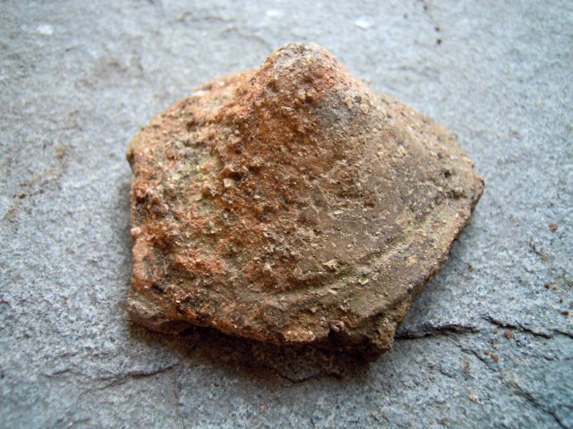 DSCN4812