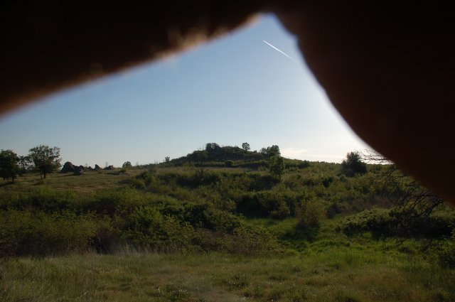 DSC_6642