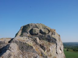 DSC_6582