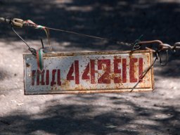 DSC_2895-1