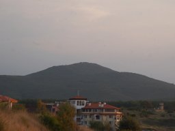 DSC_3117-1