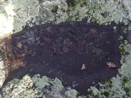 DSC07604-1