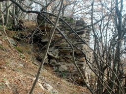 DSC_6316-1