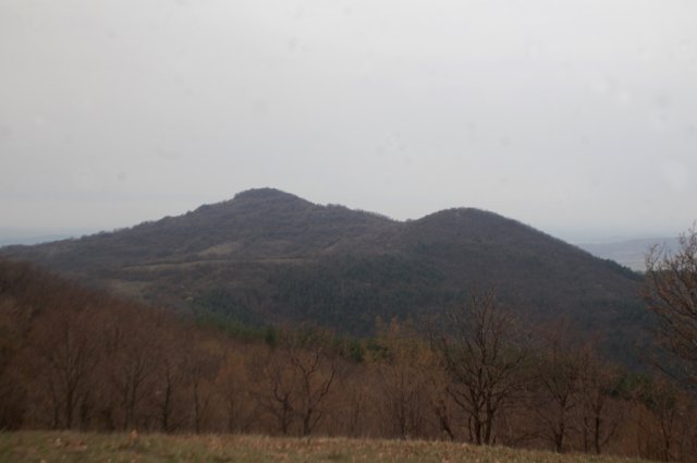 DSC_4431-1