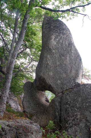 DSC_3836-1