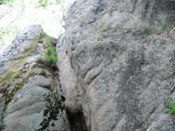 DSC_3765-1