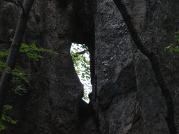 DSC_3886-1