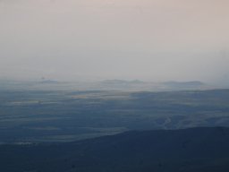 DSC_3912-1