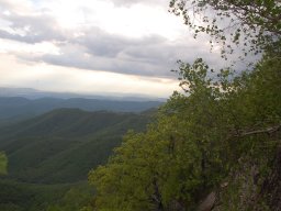 DSC_3913-1