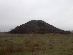 DSC_9222-1