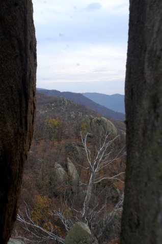 DSC_3918-1~0