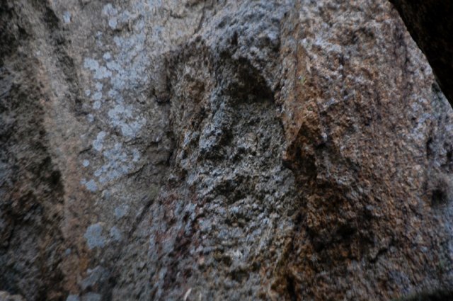 DSC_5911-1