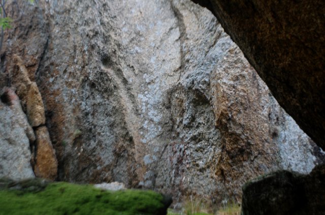 DSC_5912-1