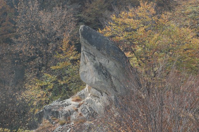 DSC_8327
