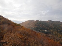 DSC_8311