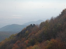 DSC_8328~0