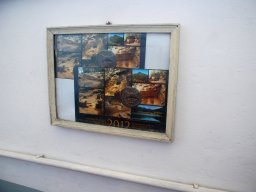 DSC_8478