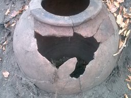 Изображение4695