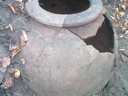 Изображение4696