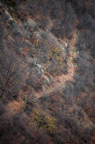 DSC_3882-1