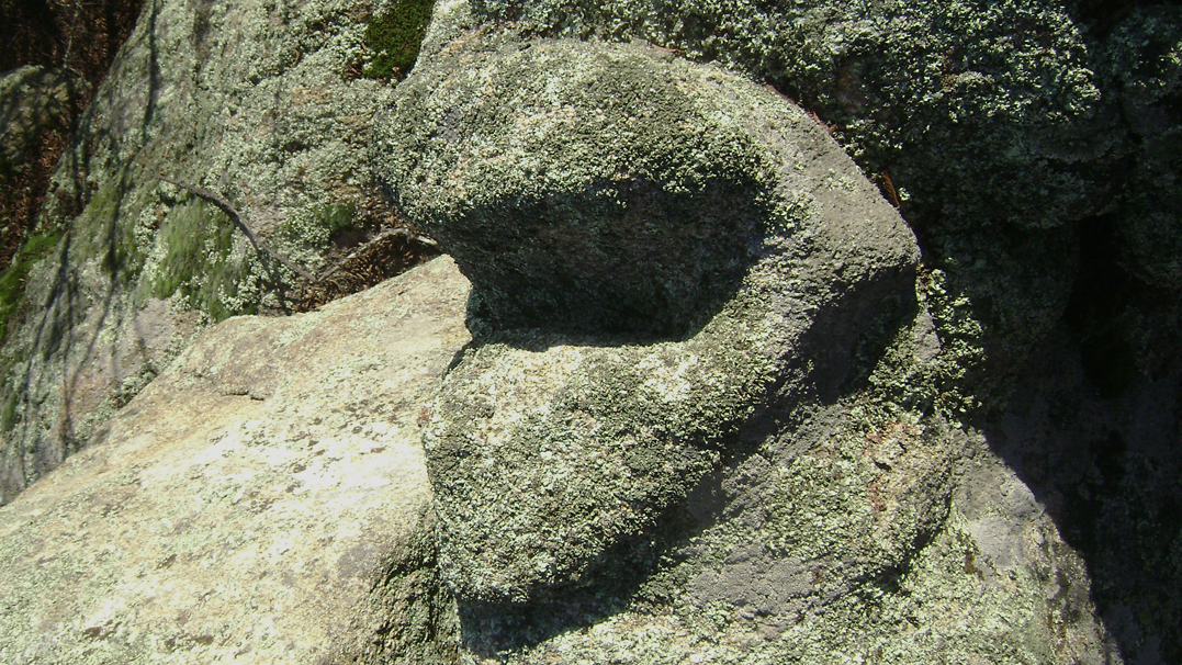 DSC02705-1