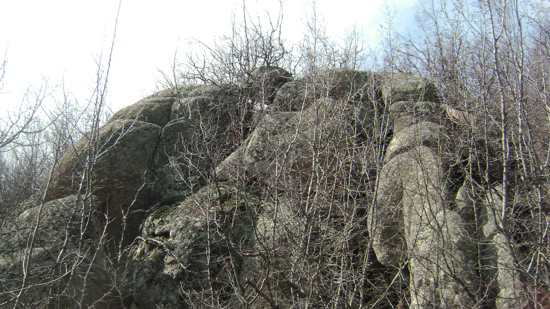DSC03048-1