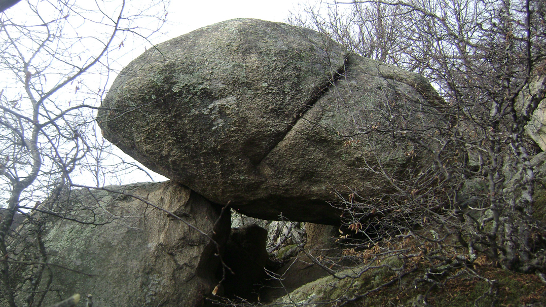 DSC03107-1