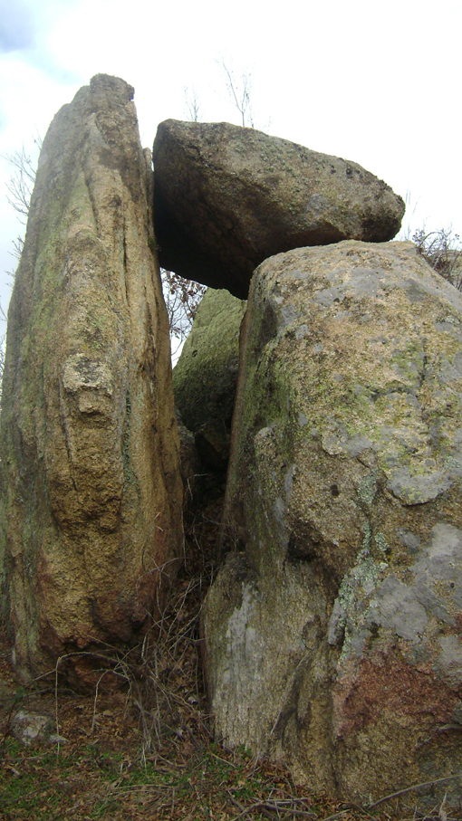 DSC04921-1