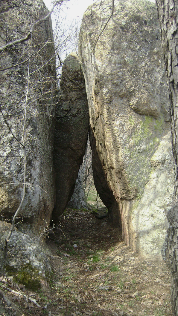 DSC05329-1
