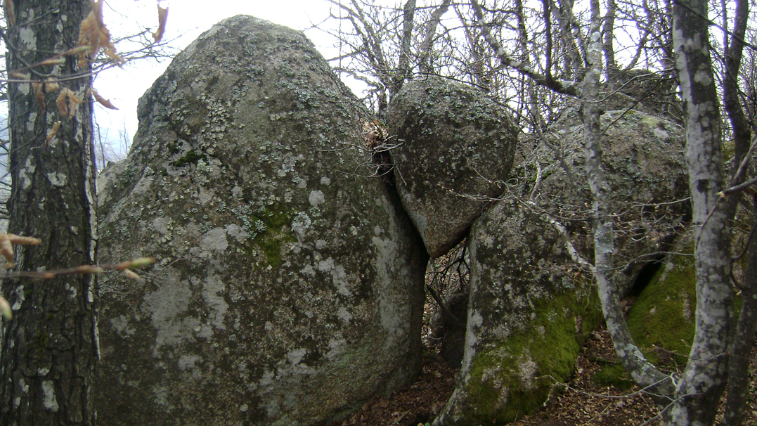 DSC05337-1