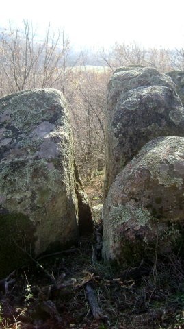 DSC02708-1