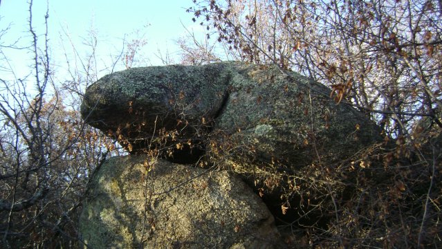 DSC02775-1