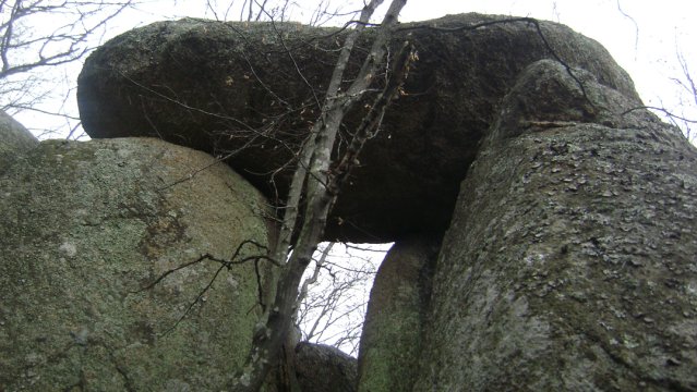 DSC03118-1