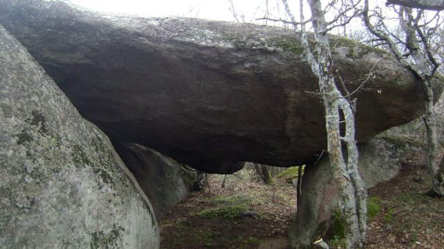 DSC03398-1