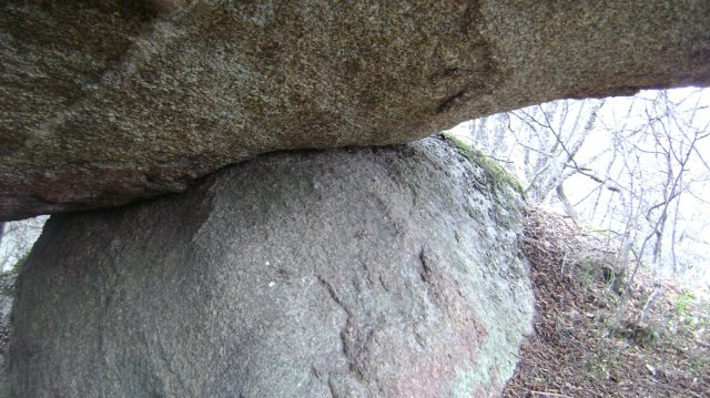 DSC03399-1