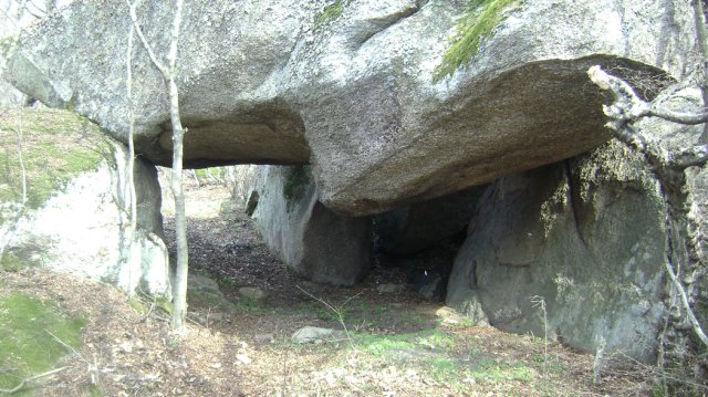 DSC03401-1