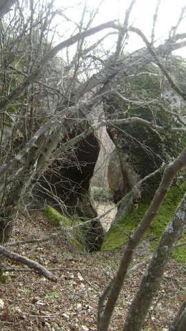 DSC07693-1